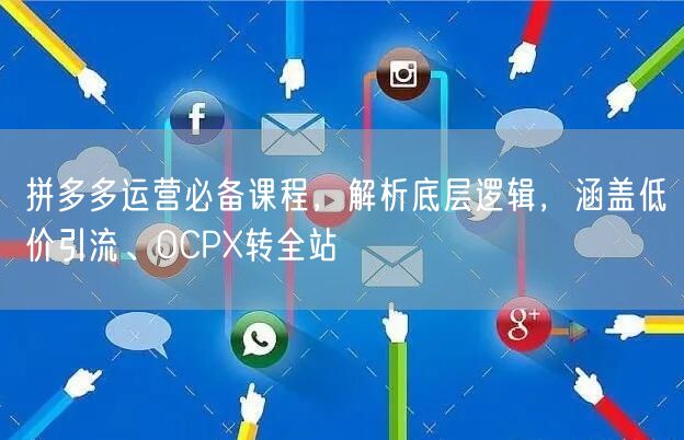 拼多多运营必备课程,解析底层逻辑,涵盖低价引流、OCPX转全站