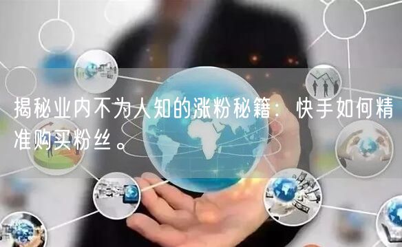 揭秘业内不为人知的涨粉秘籍:快手如何精准购买粉丝。