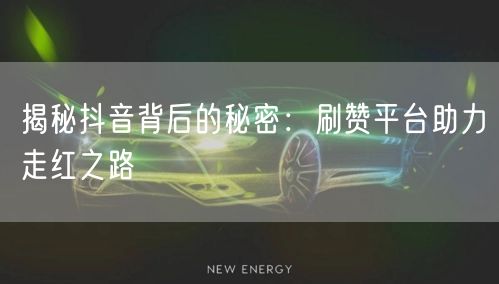 揭秘抖音背后的秘密:刷赞平台助力走红之路