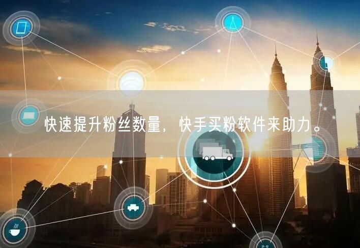 快速提升粉丝数量,快手买粉软件来助力。