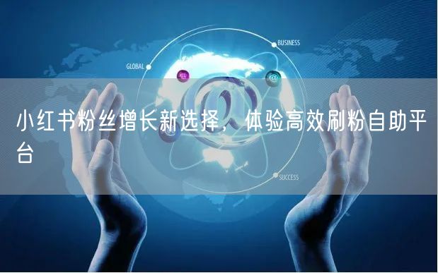 小红书粉丝增长新选择,体验高效刷粉自助平台