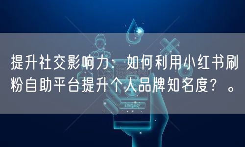 提升社交影响力:如何利用小红书刷粉自助平台提升个人品牌知名度?。