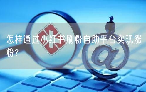 怎样通过小红书刷粉自助平台实现涨粉?