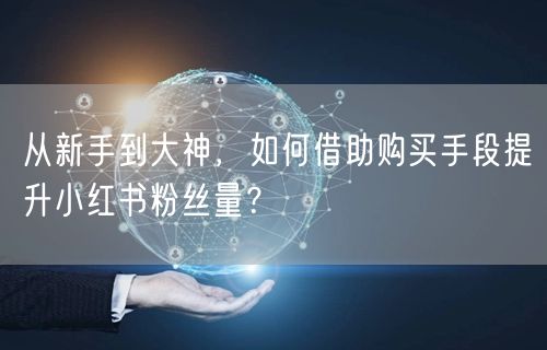 从新手到大神,如何借助购买手段提升小红书粉丝量?