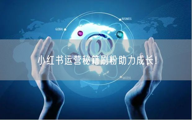 小红书运营秘籍刷粉助力成长!