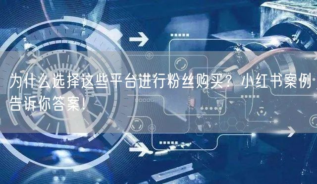 为什么选择这些平台进行粉丝购买?小红书案例告诉你答案!
