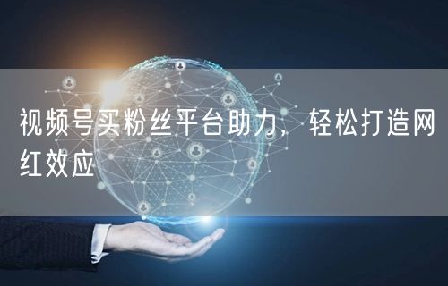 视频号买粉丝平台助力,轻松打造网红效应