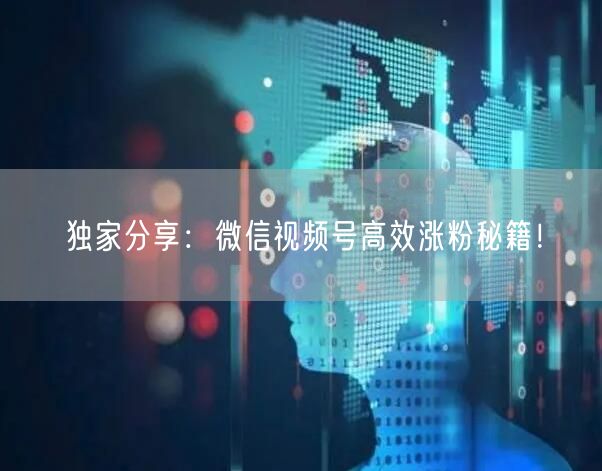 独家分享：微信视频号高效涨粉秘籍！