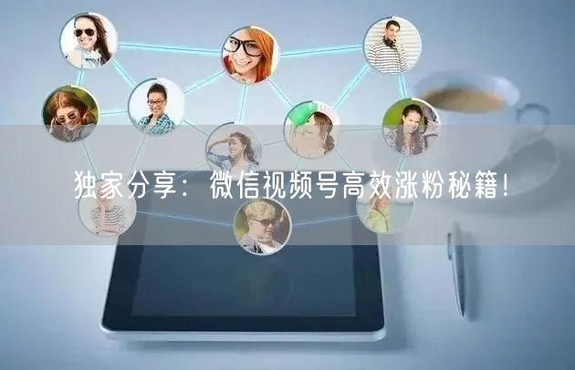 独家分享：微信视频号高效涨粉秘籍！