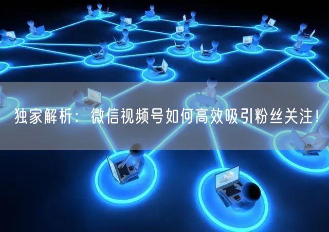 独家解析：微信视频号如何高效吸引粉丝关注！